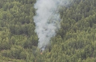 Alanya Türktaş’ta orman yangını